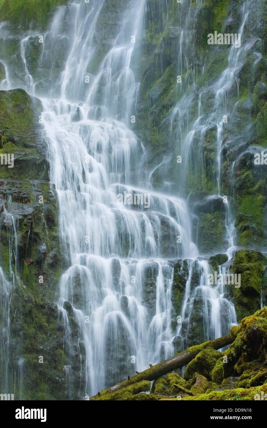 Proxy Falls near McKenzie Pass in the Three Sisters Wilderness, Oregon Stock Photo