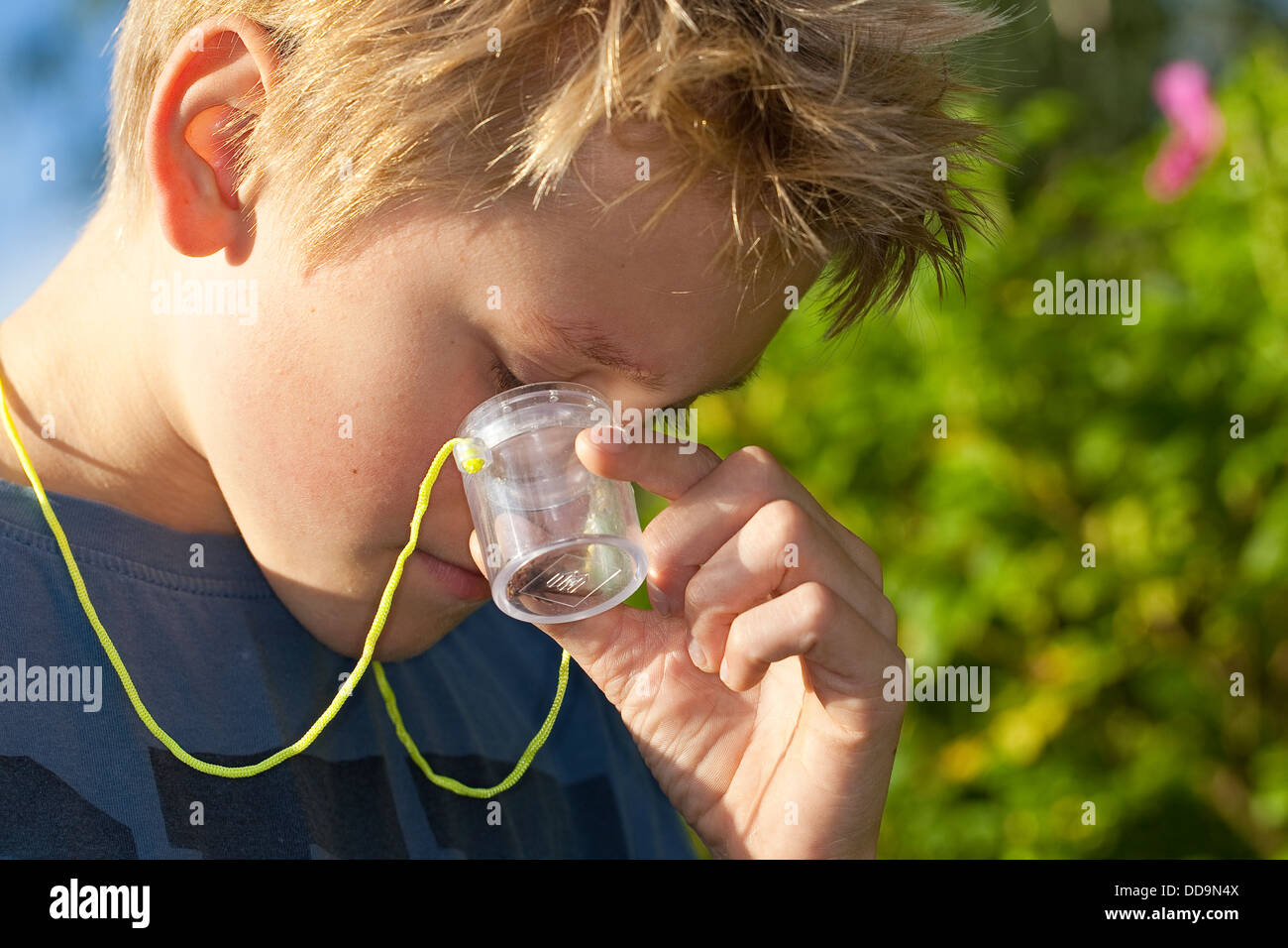 Child, loupe, magnifier, Junge, Kind beobachtet Insekt in Becherlupenglas, Becherlupe, Lupe Stock Photo