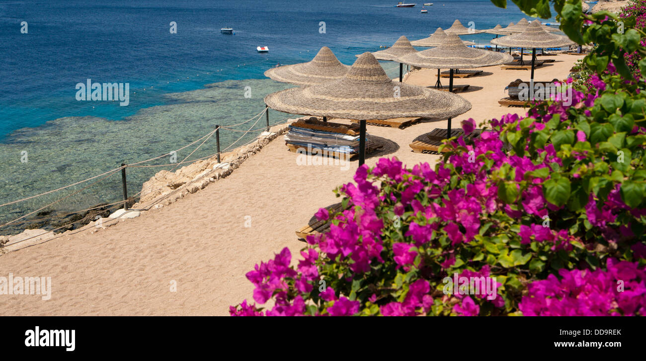 Beach at Savita Hotel in Sharm Egypt/Red Sea Hotels Stock Photo