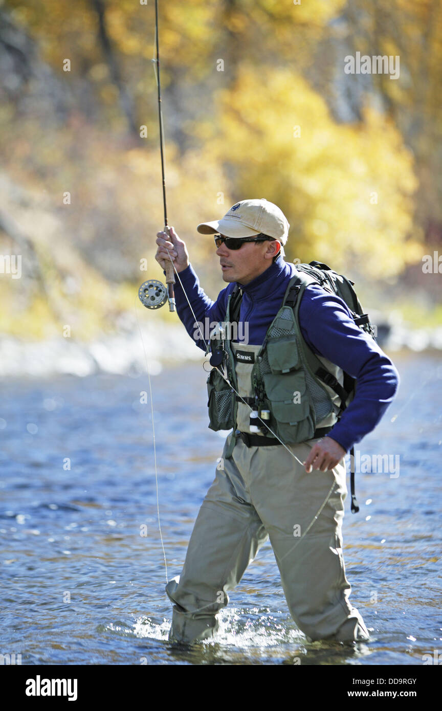 Man fly fishing on the Big Wood River in Sun Valley, Idaho. USA Stock
