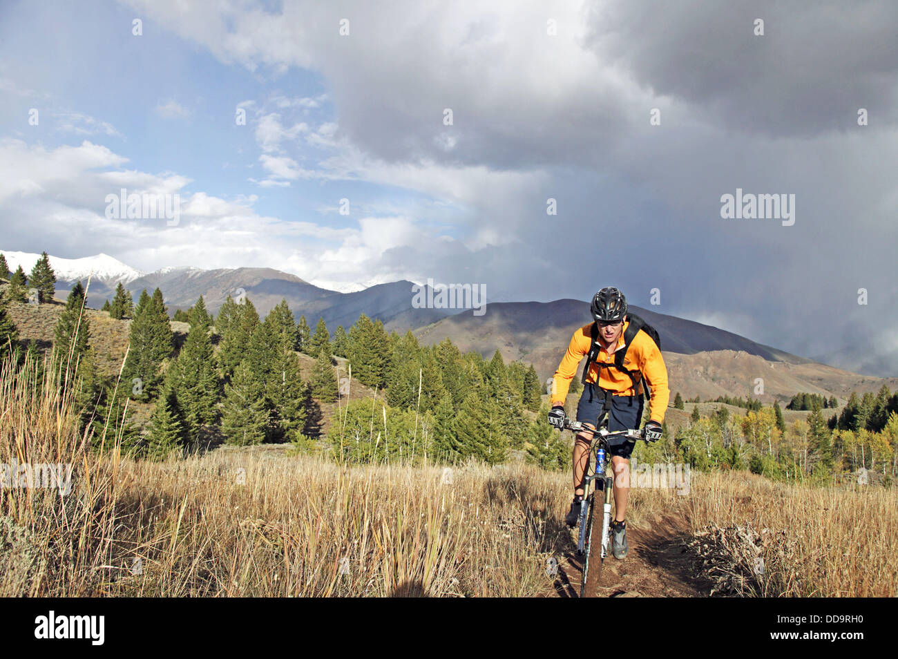 Man mt biking hires stock photography and images Alamy