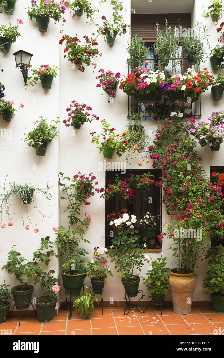 Festival of the Patios, Cordoba, Andalucia, Spain Stock Photo Alamy