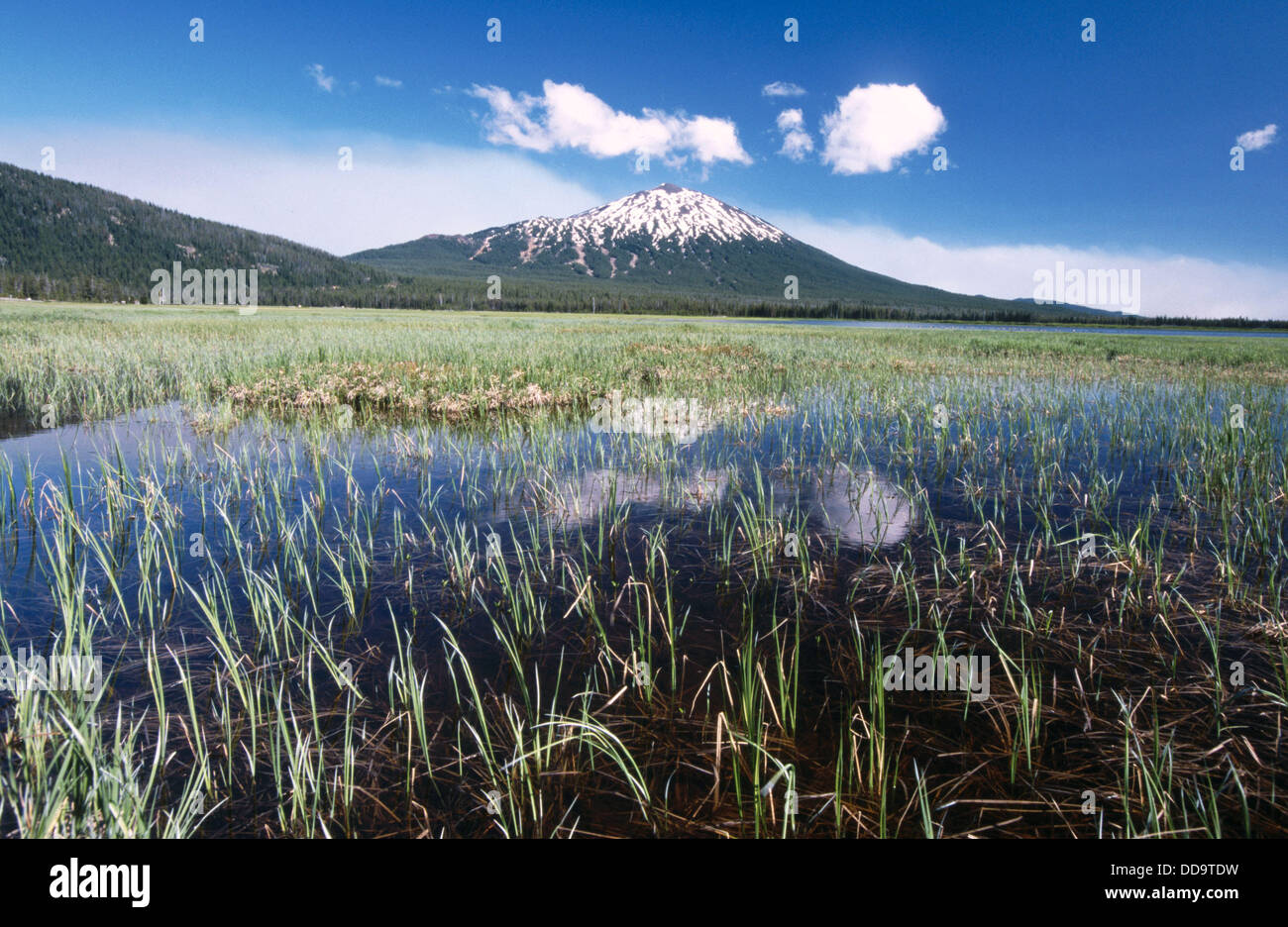 Mt. Bachelor and Sparks Lake, Oregon Cascades. USA Stock Photo Alamy
