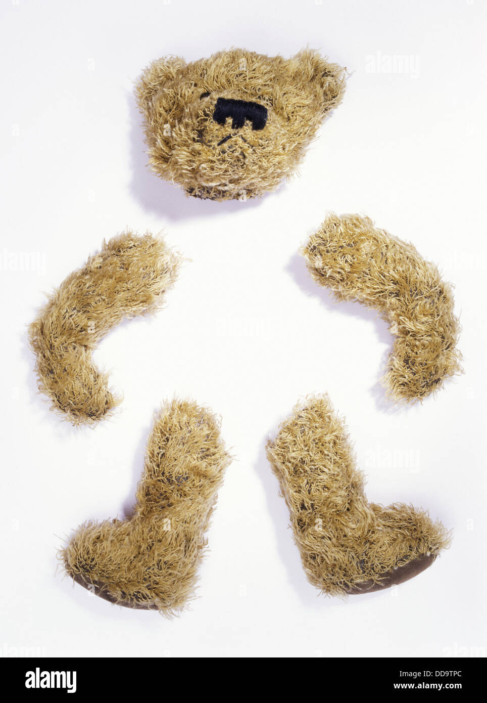 teddy bear without fur