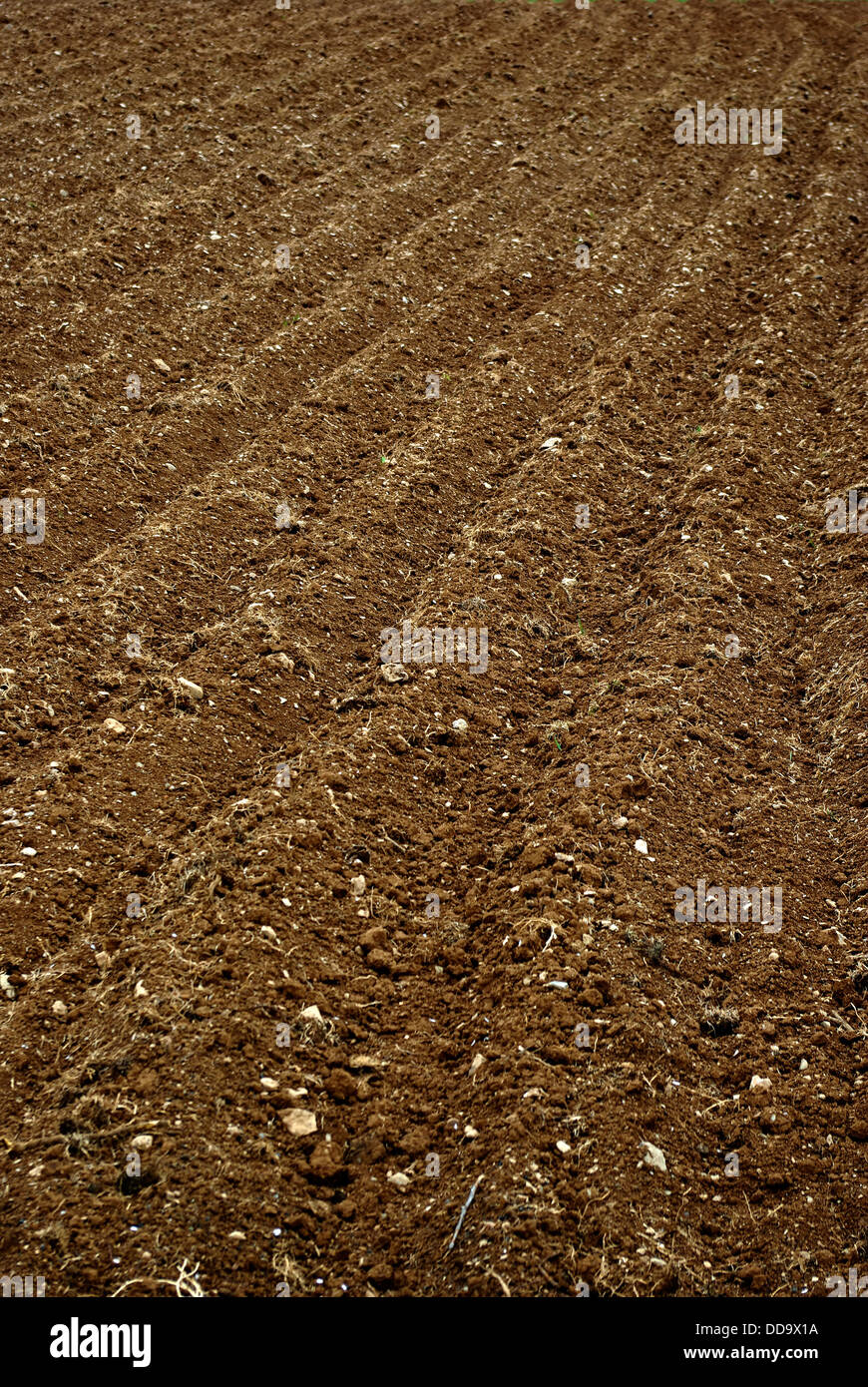 The furrows in the field of arable land ready for spring planting. Stock Photo