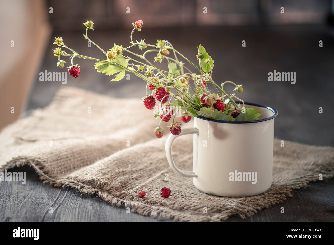 Germany, Baden Wuerttemberg, Bouquet of wild strawberries  in enamel cup on rug Stock Photo
