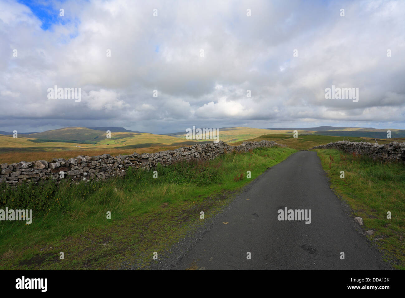 Baugh Fell, Wild Boar Fell, High Seat Mallerstang and Great Shunner Fell, from Coal Road near Dent, Cumbria, Yorkshire Dales National Park, England. Stock Photo