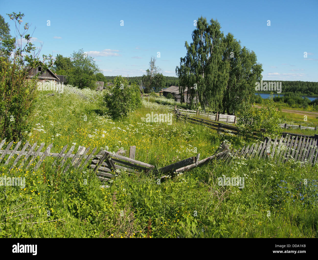 fence in the countryside Stock Photo - Alamy