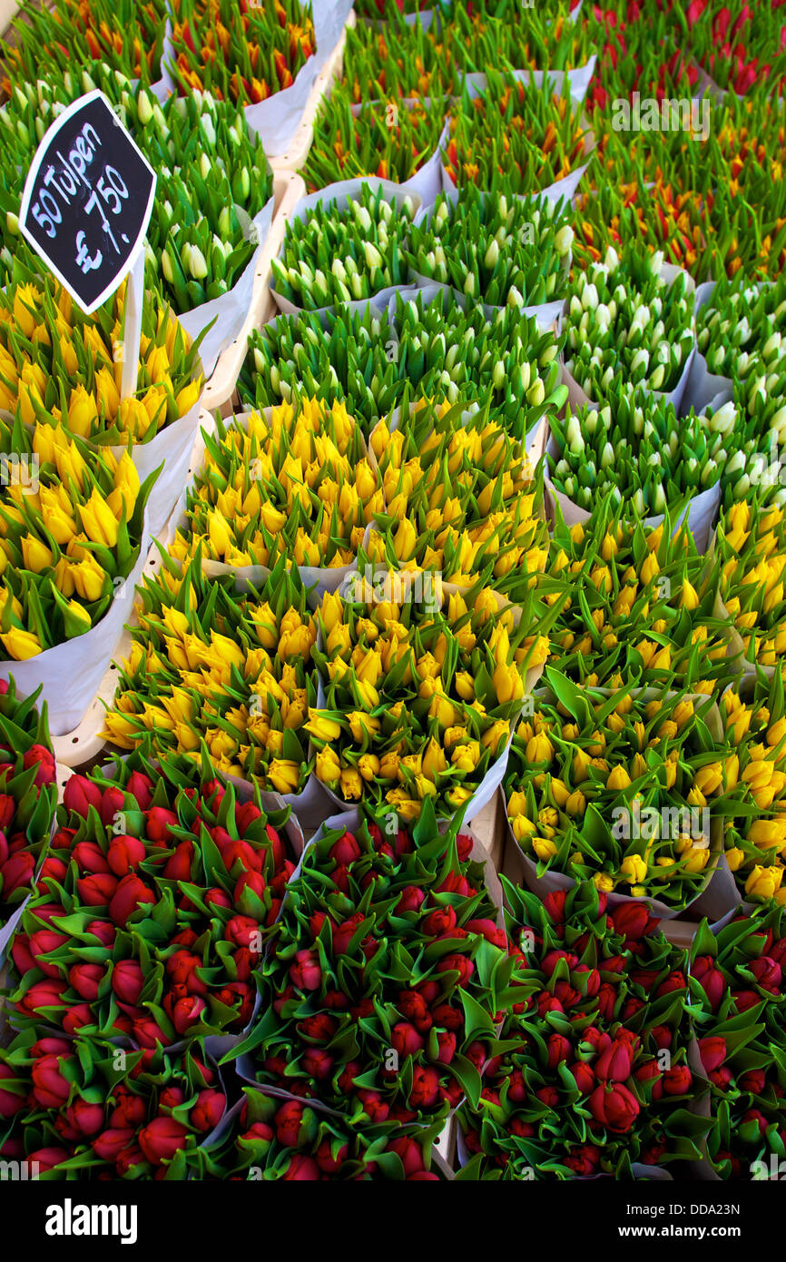 Bloemenmarkt flower market amsterdam netherlands hires stock