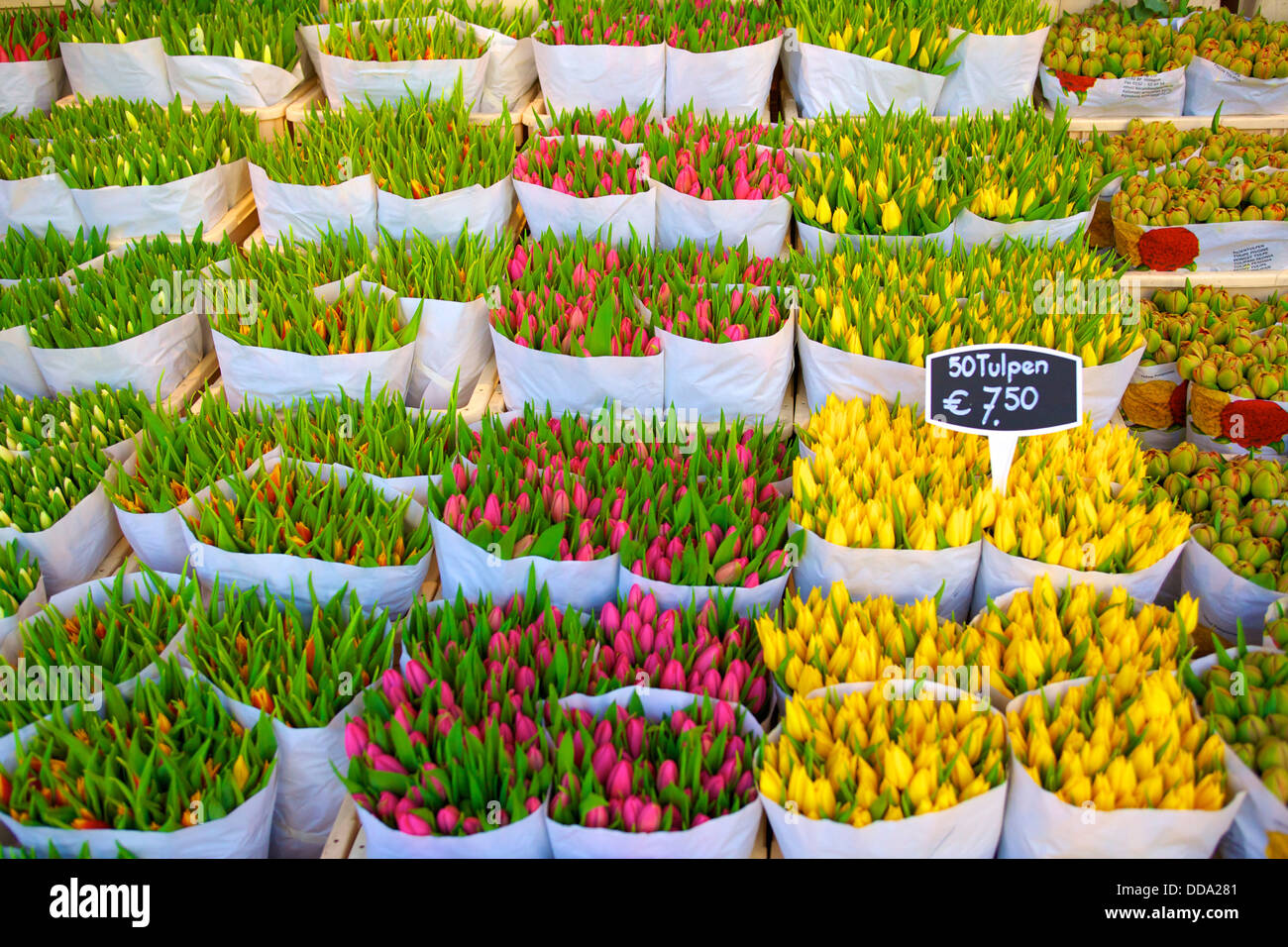 Bloemenmarkt flower market amsterdam netherlands hires stock