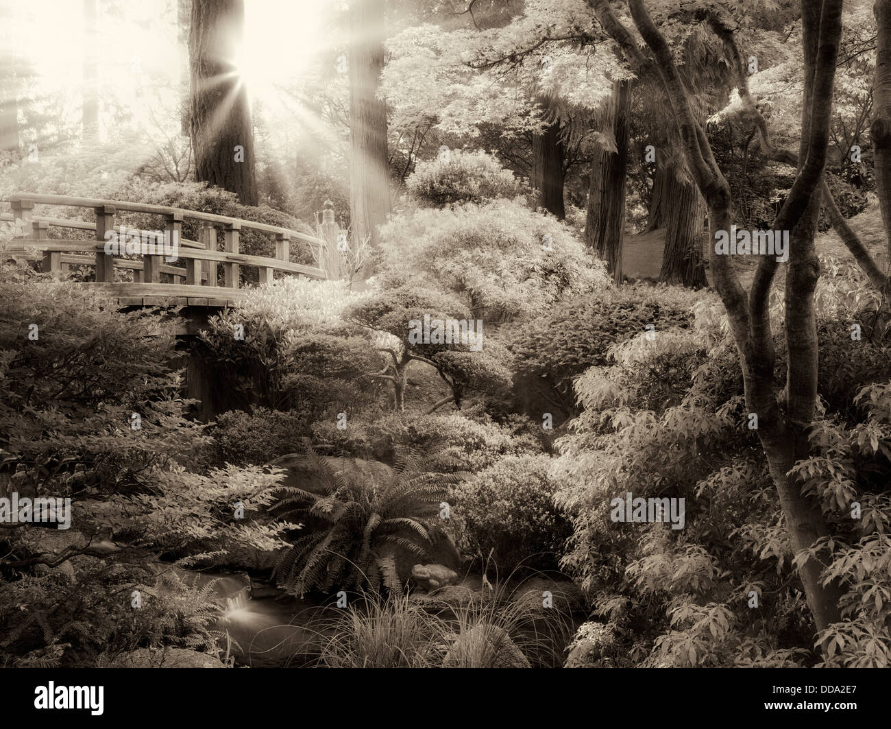 Bridge and stream. Portland Japanese Garden, Oregon Stock Photo