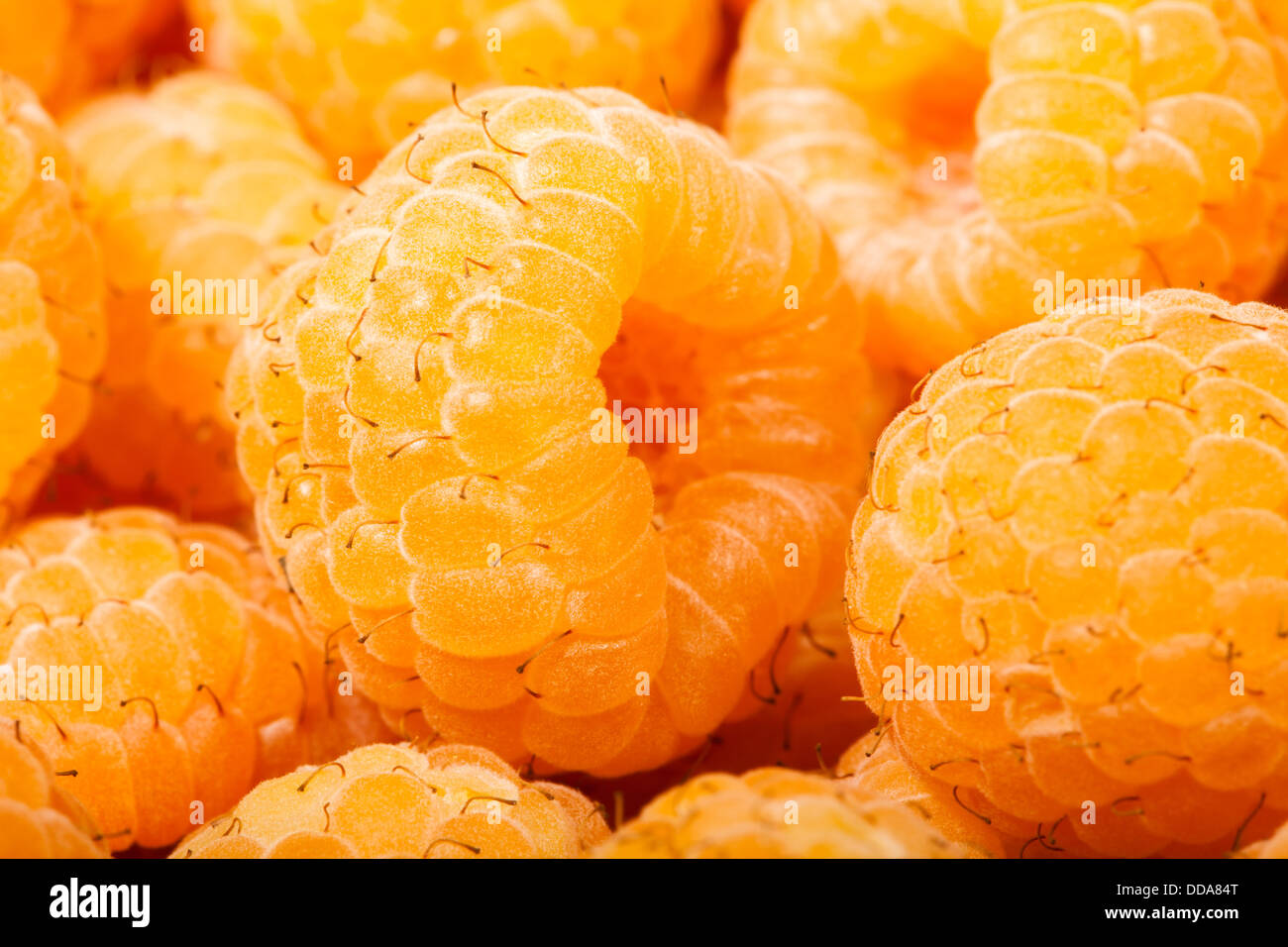 Yellow Rasperries yellow raspberry closeup macro many Stock Photo - Alamy
