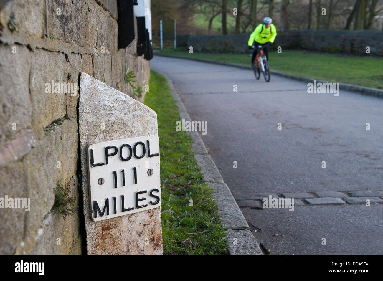 Male cyclist (wearing helmet & hi-vis) climbing hill (standing to cycle) - 5 Rise Locks, Leeds Liverpool Canal, Bingley, West Yorkshire, England, UK. Stock Photo