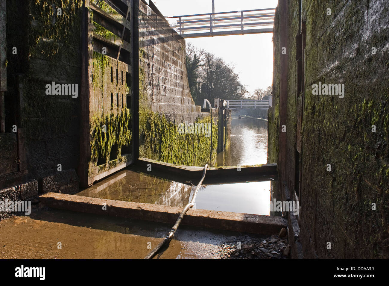 View from drained bottom lock chamber through open gates to canal - Five Rise Locks closed for renovation, Leeds Liverpool Canal, Bingley, England, UK Stock Photo