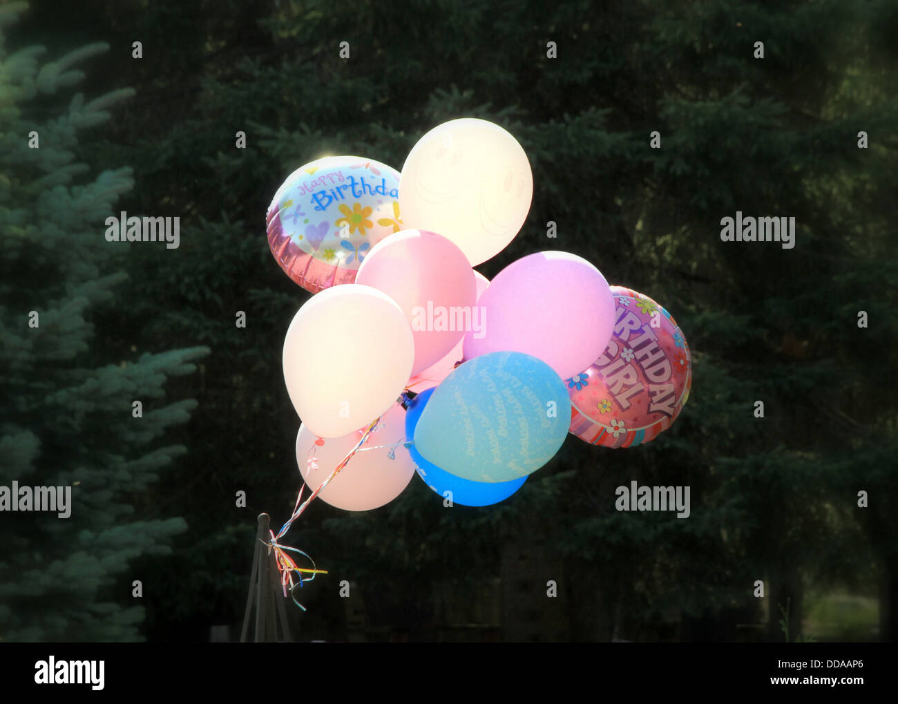 Colorful balloons floating in the air Stock Photo - Alamy