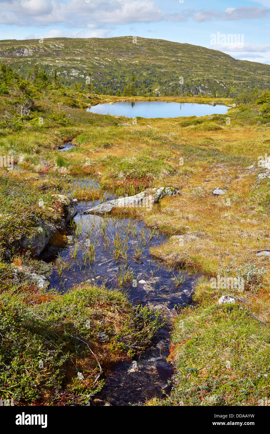 Boggy stream and natural round pond below the summit of Swarttjenskollen 1054m  in the Vikerfjellet highlands of central Norway Stock Photo