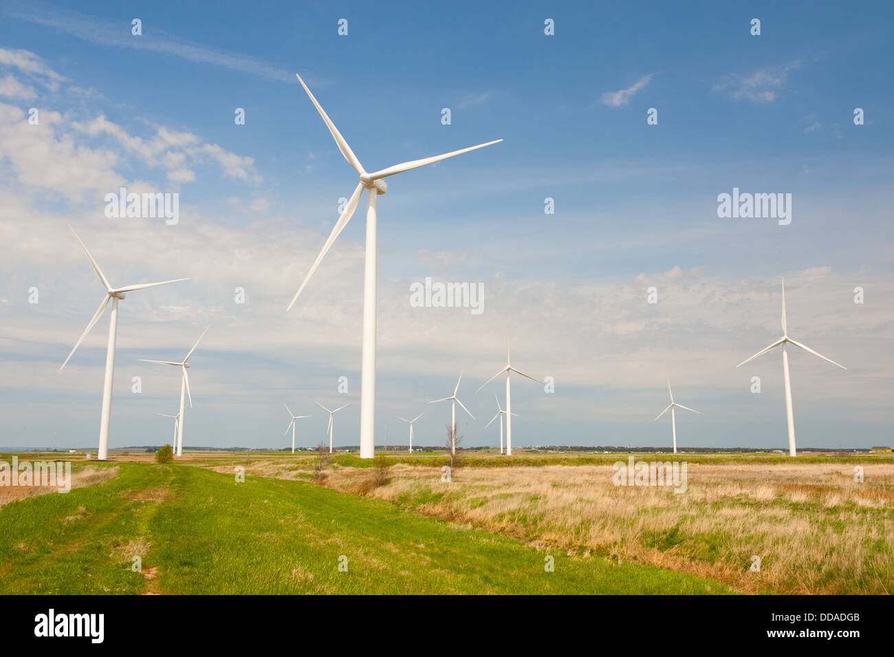wind turbines in green field with a nice blue sky Stock Photo - Alamy
