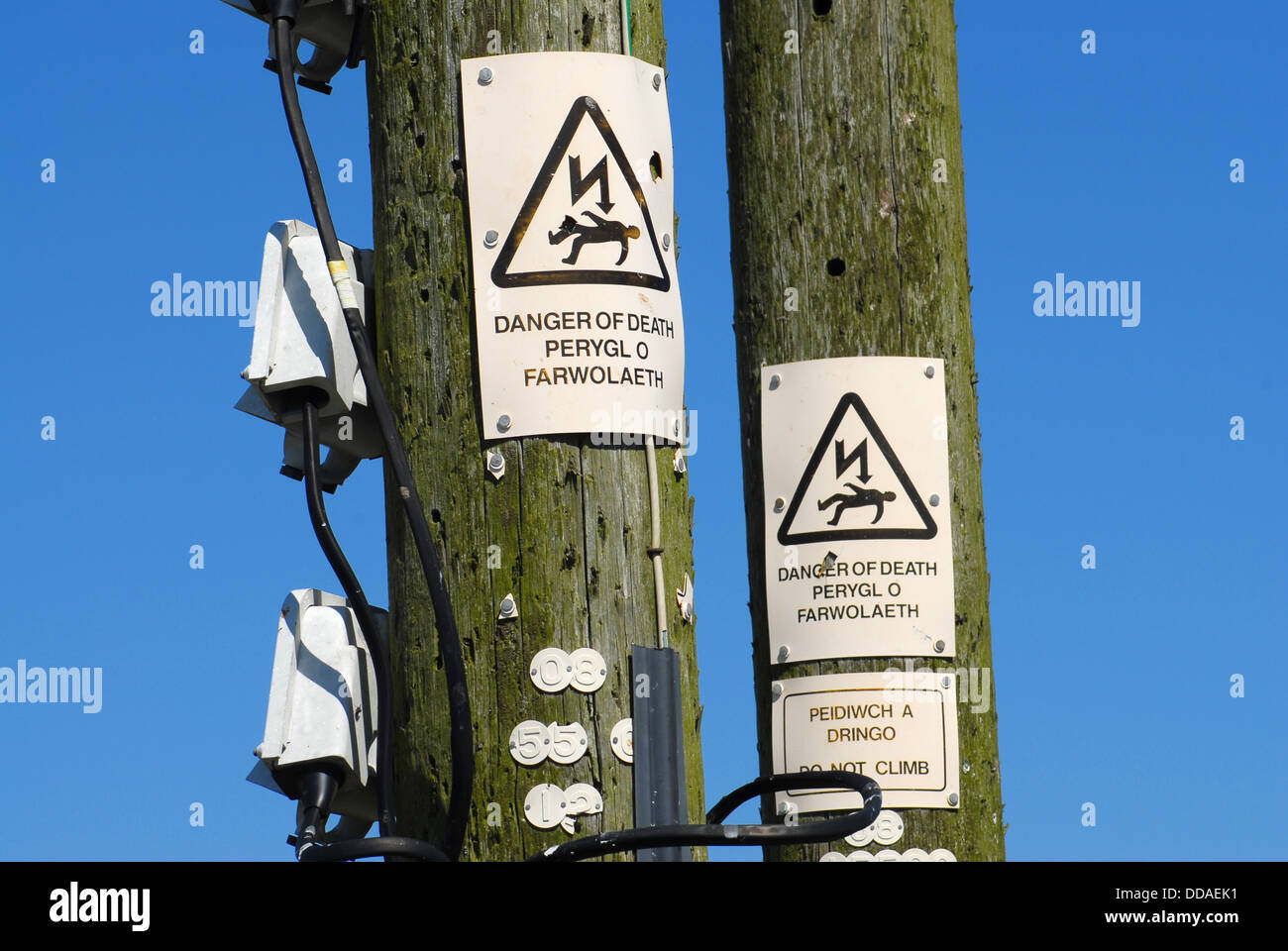 Close up of danger of death signs on electricity supply wooden pylons. Also in welsh "Perygol