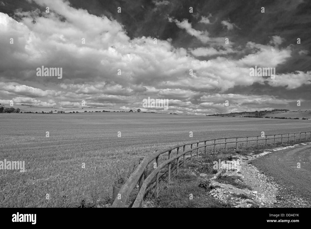 A landscape view of the south downs way. West Sussex. England. Uk (Black and white) Stock Photo