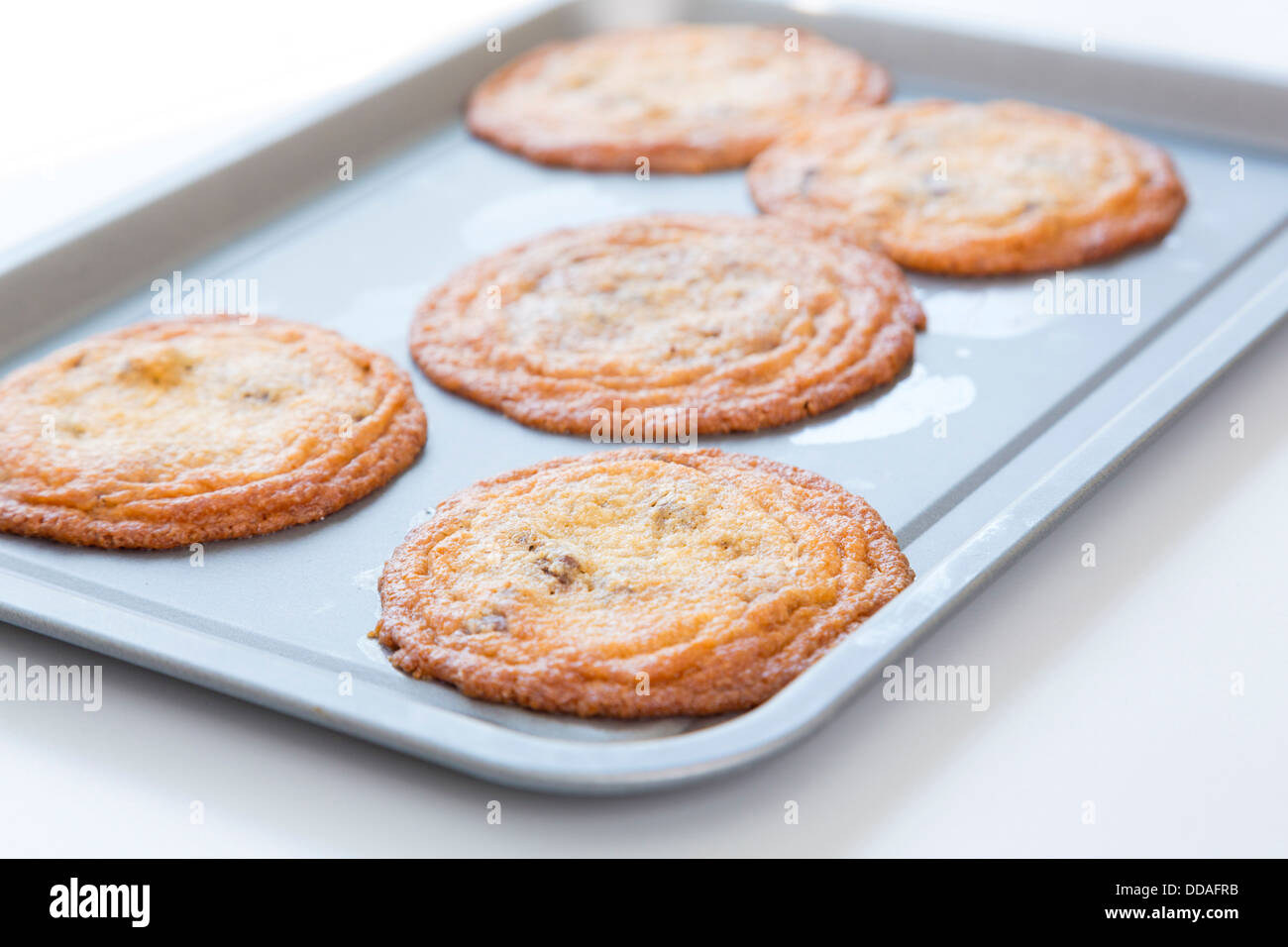 freshly baked homemade cookies on tray Stock Photo