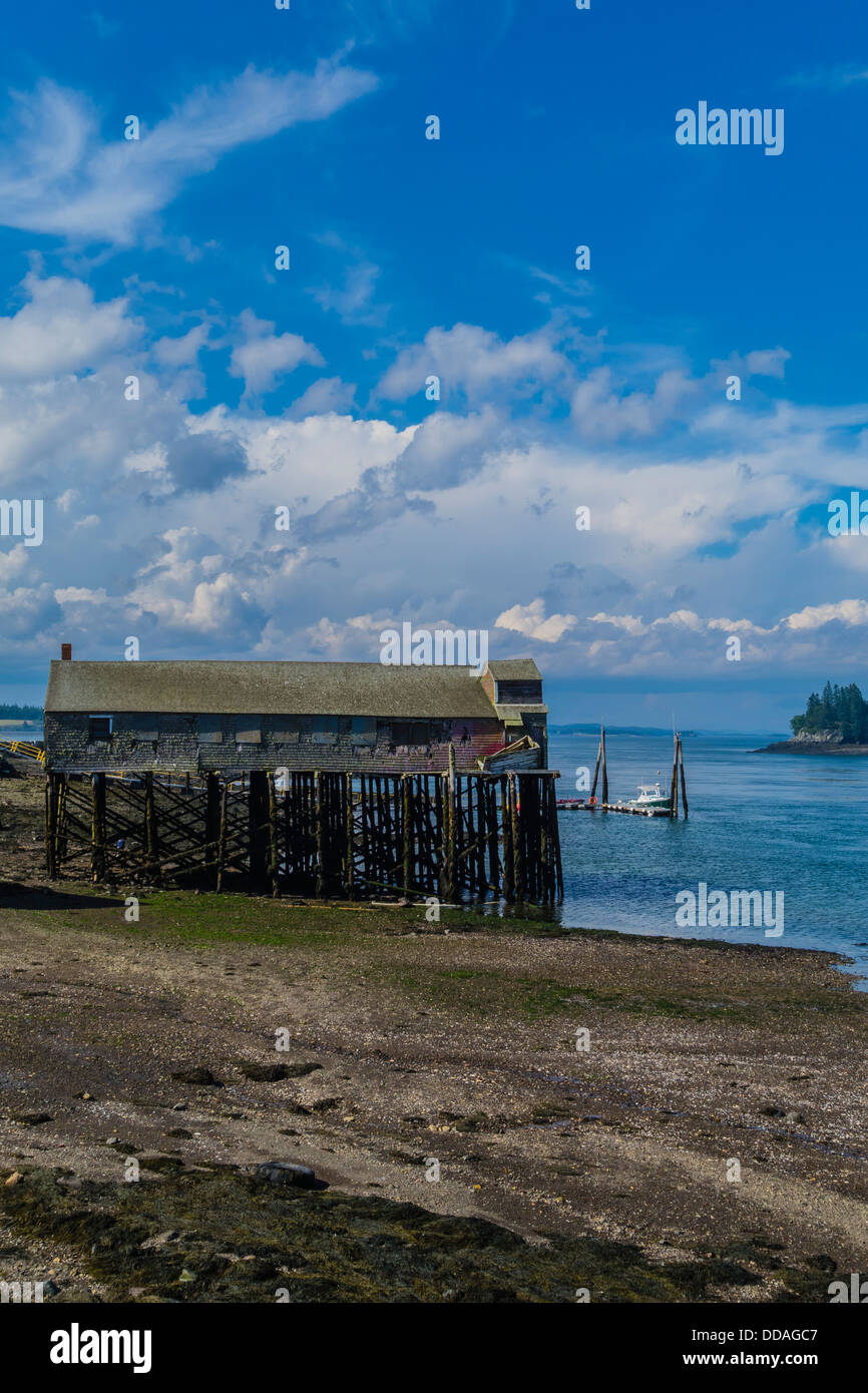 An old weathered wood clapboard sided fish processing building on stilts on the shoreline at Lubec, Maine. Stock Photo
