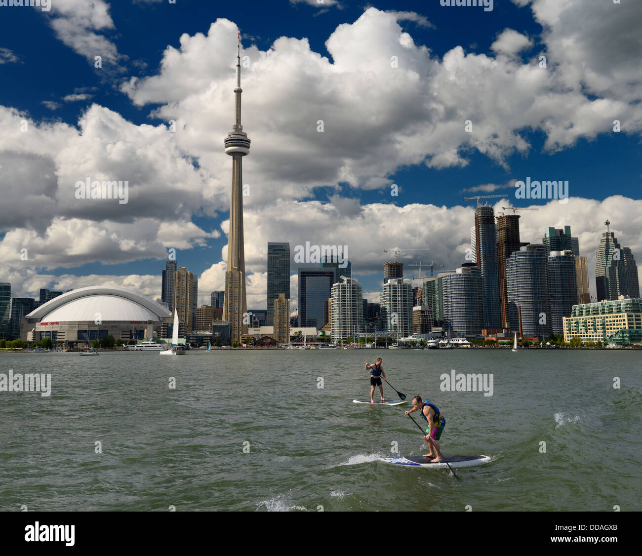 Two men stand up paddle surfing in Lake Ontario with Toronto cityscape skyline with CN tower and Roger centre stadium in background Stock Photo