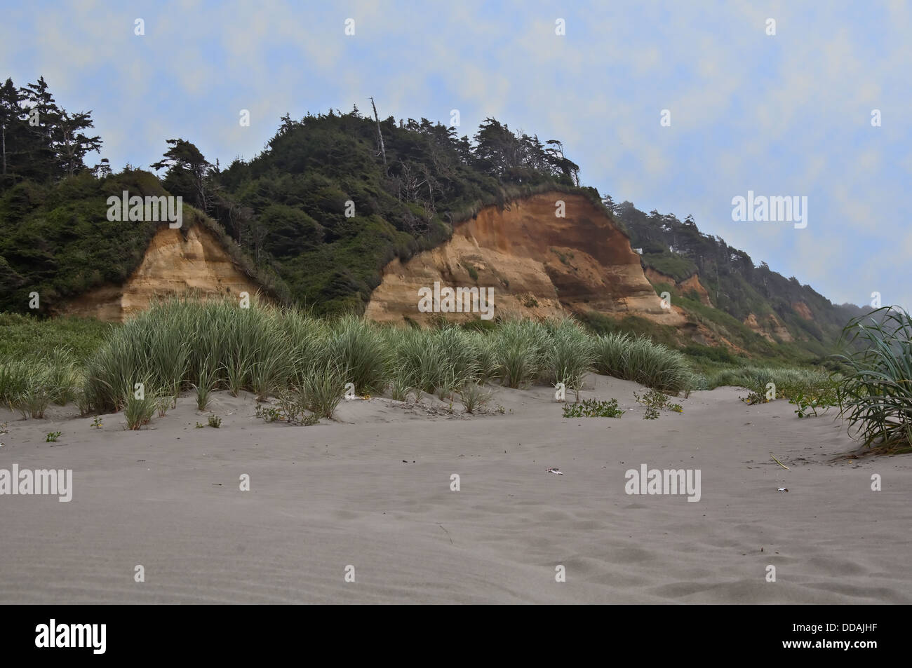 This landscape is Copalis Beach in Washington in Grays Harbor County
