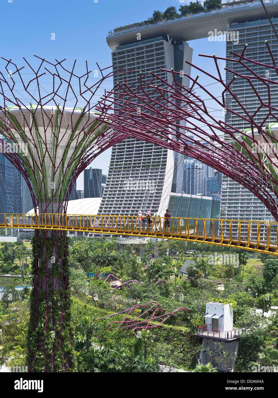 dh Supertree Grove skyway GARDENS BY THE BAY SINGAPORE Supertrees vertical gardens people walking elevated walkway trees sky garden Stock Photo