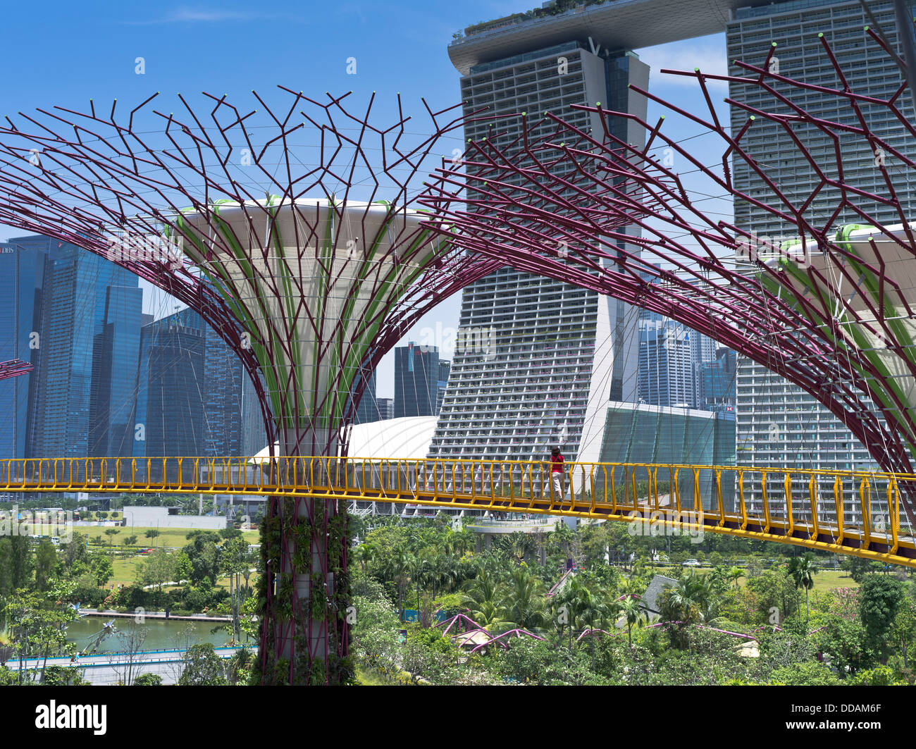 dh Supertree Grove GARDENS BY THE BAY SINGAPORE Supertrees vertical garden people walking at skyway walkway Stock Photo