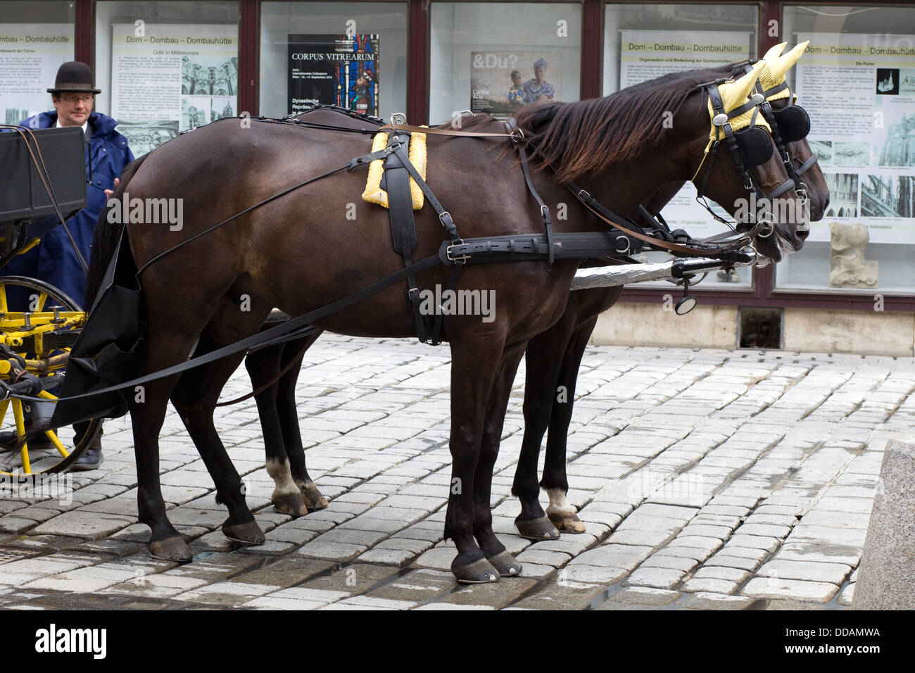Europe the traditional fiaker horse carriages hi-res stock photography ...