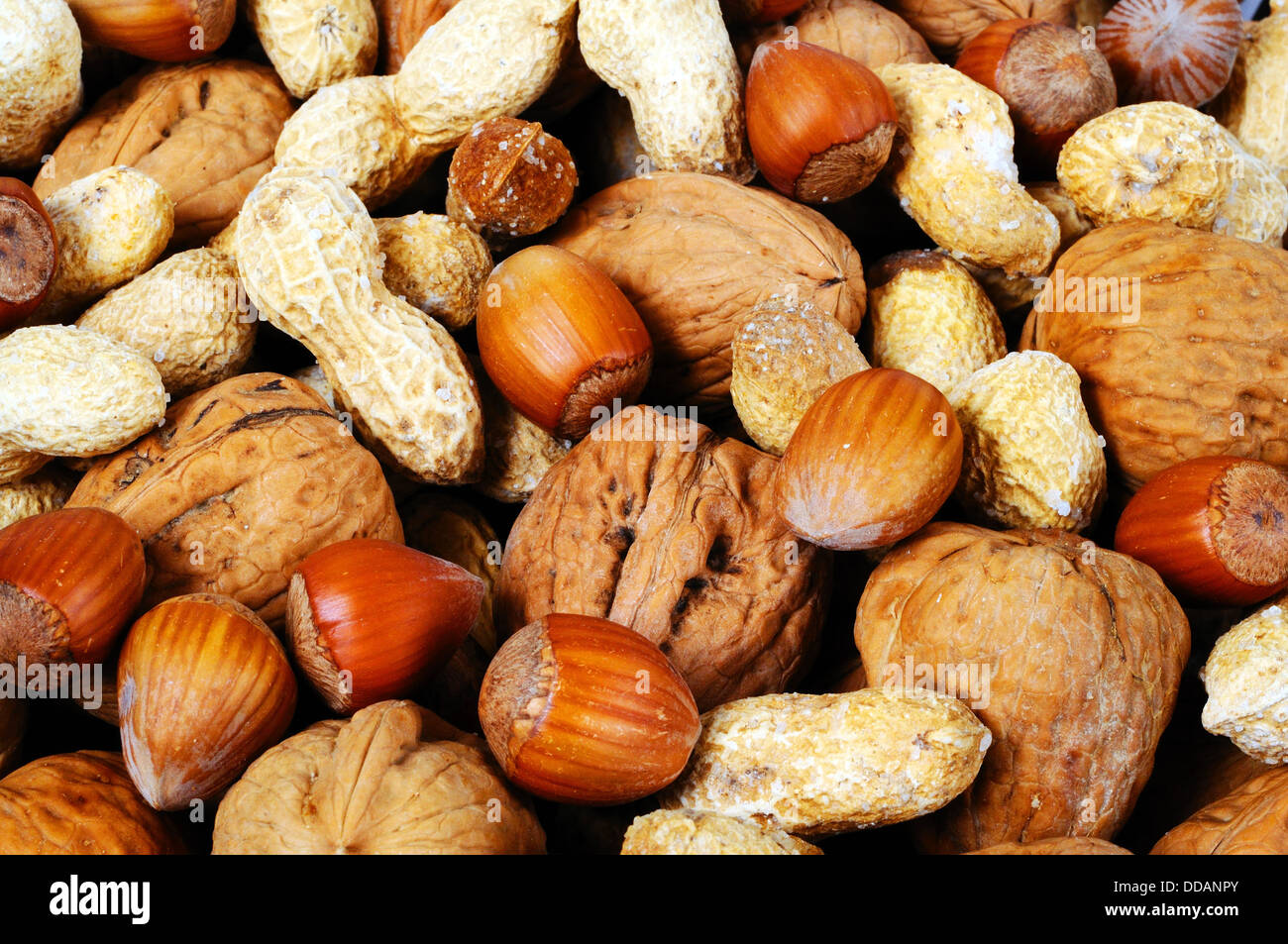 Mixed nuts in their shells (Monkey nuts, Walnuts and Hazelnuts). Stock Photo