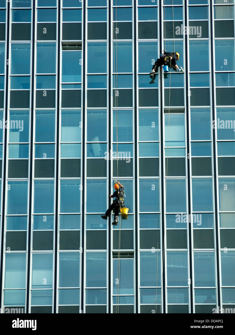 Window cleaners working on high rise tower block abseiling on the