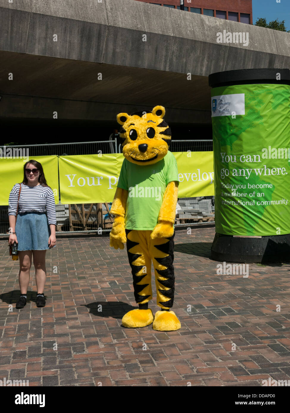 Female wearing sunglasses standing beside person dressed in a tiger costume  Sheffield South Yorkshire England Stock Photo - Alamy