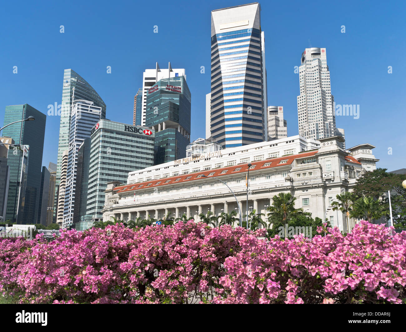 dh  DOWNTOWN CORE SINGAPORE The Fullerton Hotel flowers Maybank Tower blocks city skyscraper centre skyline cityscape daytime Stock Photo