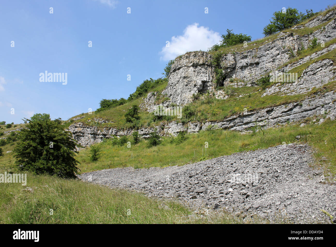 Limestone Cliff at Lathkill Dale, Derbyshire, UK Stock Photo