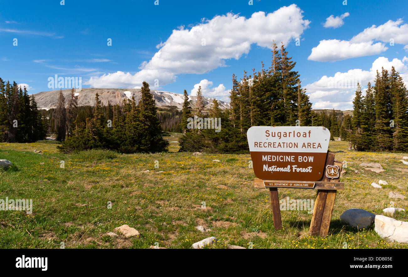 Sugarloaf Recreation Area in the Medicine Bow National Forest, Snowy
