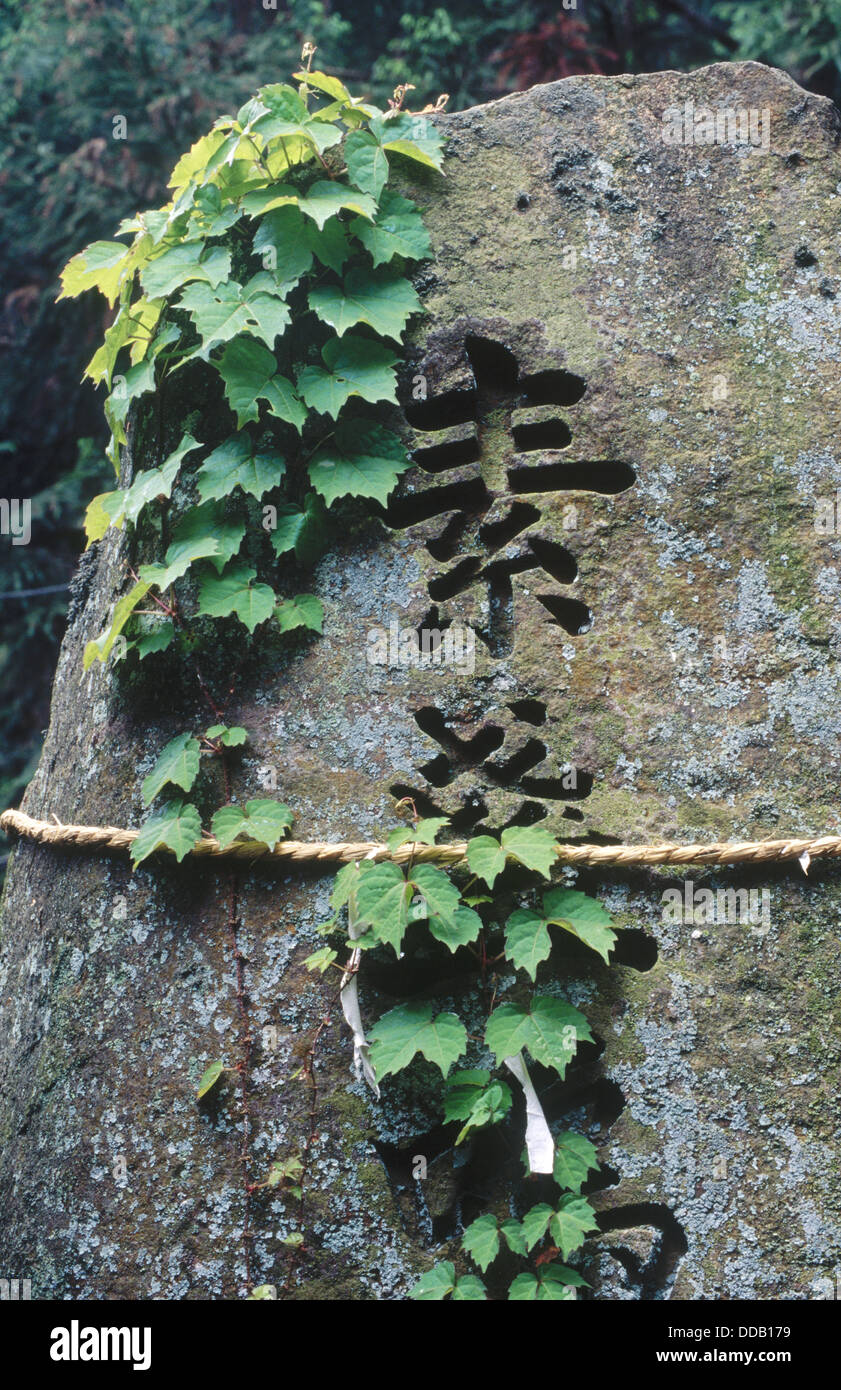Red Rope Around Rocks Japan A large stone with kanji written on it, vines and a straw rope tied ...