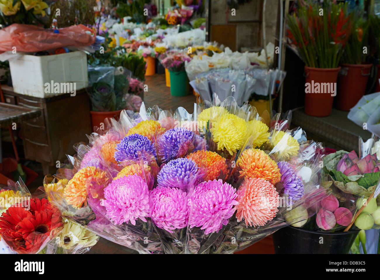 China, Hong Kong, Kowloon, Mongkok, Flower Market Road Stock Photo Alamy
