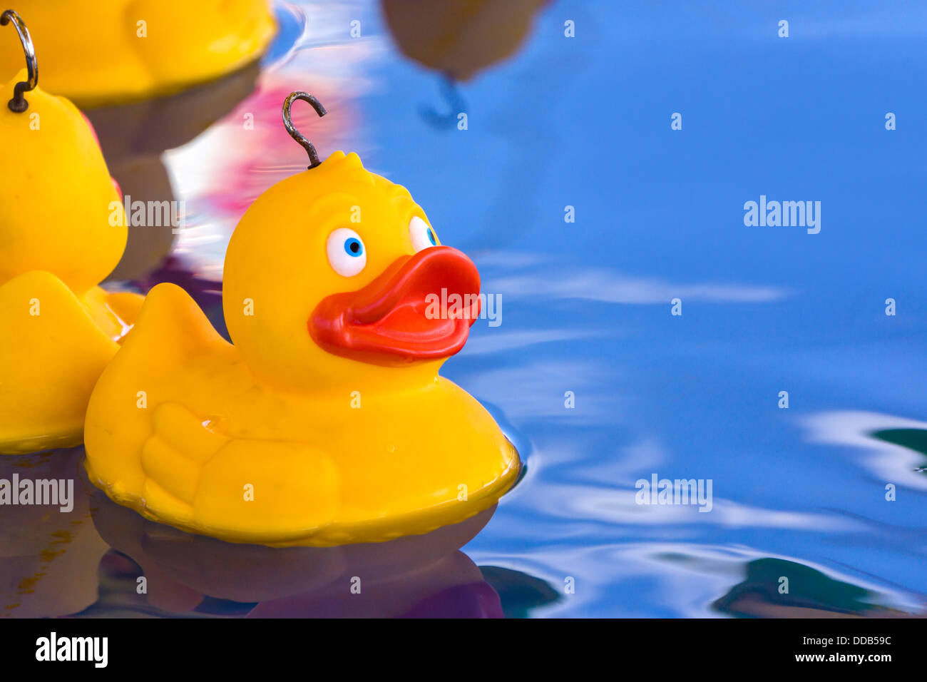 Duck game hi-res stock photography and images - Alamy