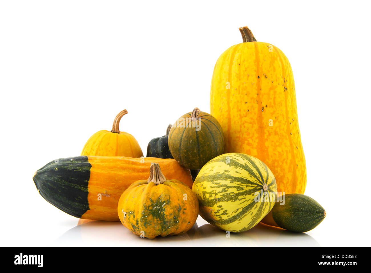 Yellow and green gourds hires stock photography and images Alamy