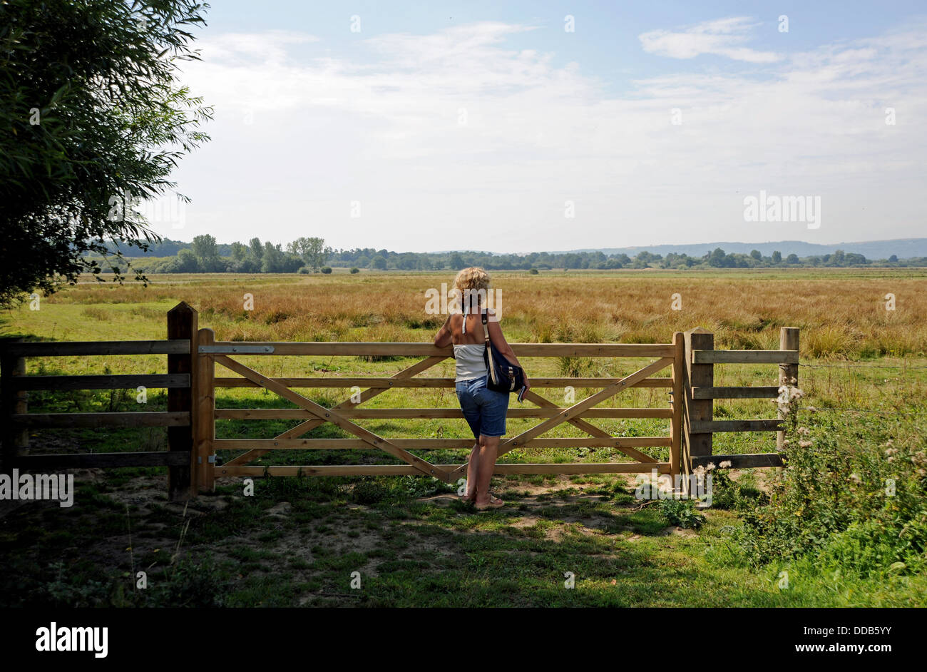 Woman leaning on gate looking at view across Pulbourough Brooks RSPB Nature Reserve West Sussex UK Stock Photo