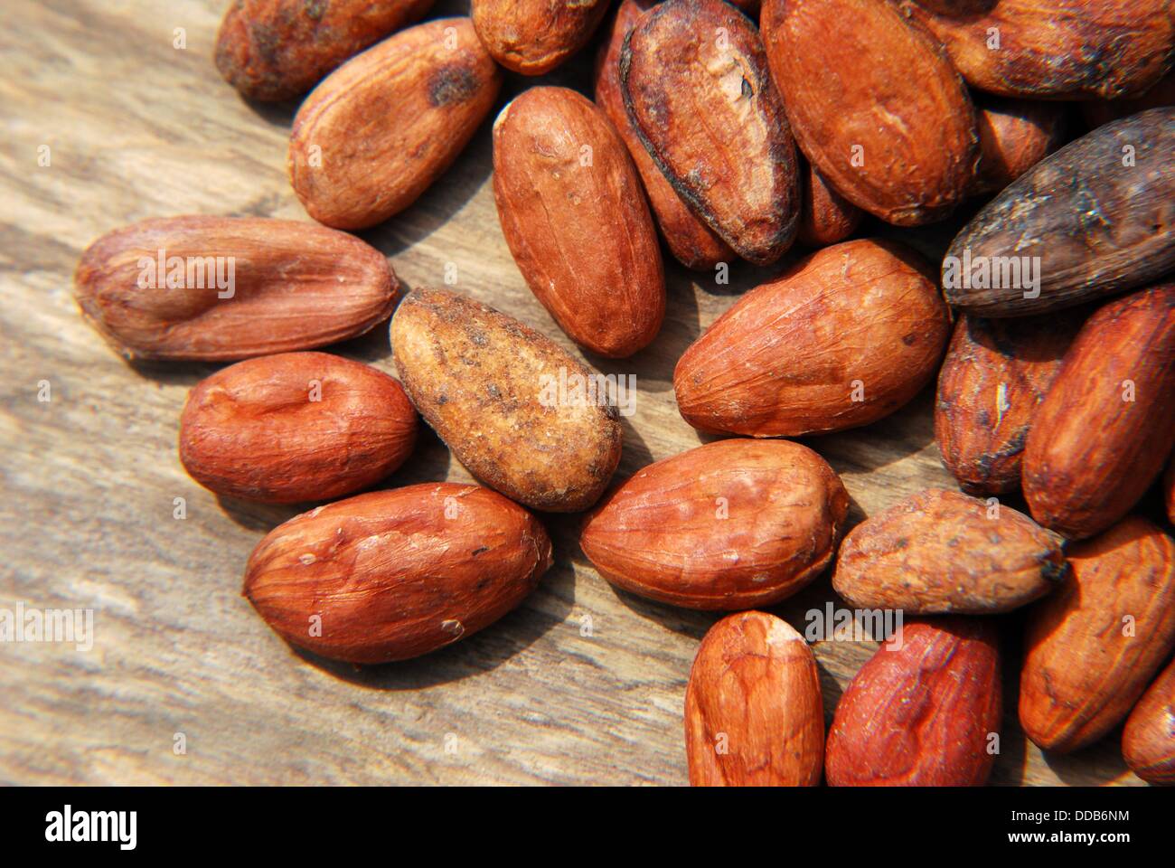 Cocoa commodity hires stock photography and images Alamy