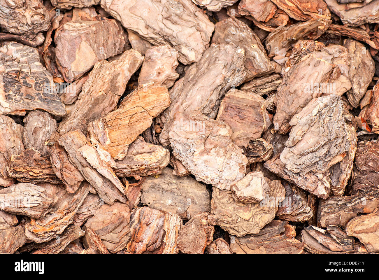 Background of pine bark nuggets layer used for gardening Stock Photo