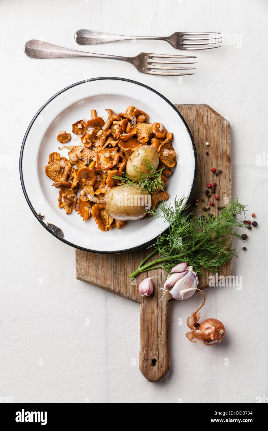 Boiled potatoes with roasted wild mushrooms Stock Photo