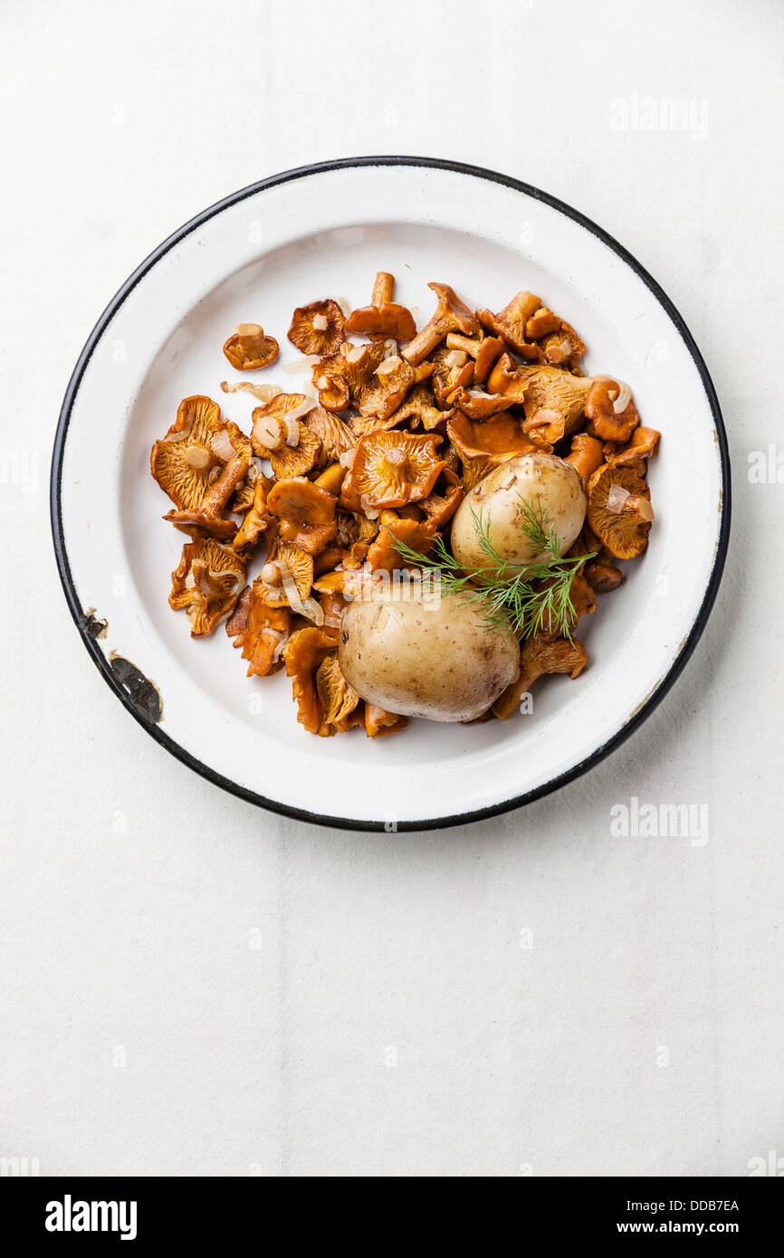 Boiled potatoes with roasted wild mushrooms Stock Photo