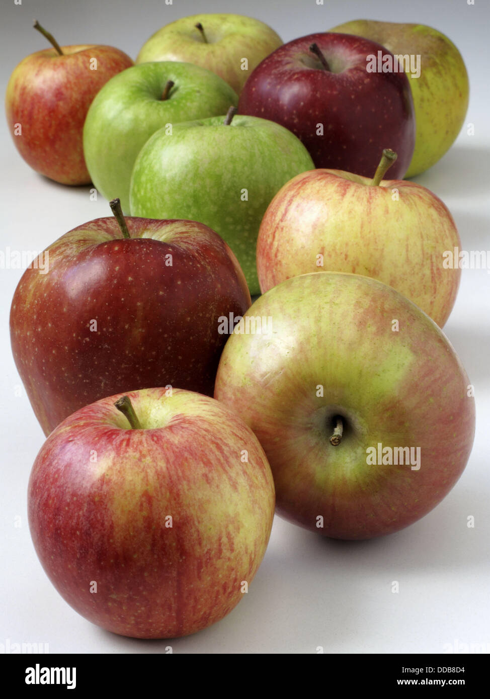 https://c8.alamy.com/comp/DDB8D4/apples-royal-gala-red-delicious-russet-golden-fuji-DDB8D4.jpg