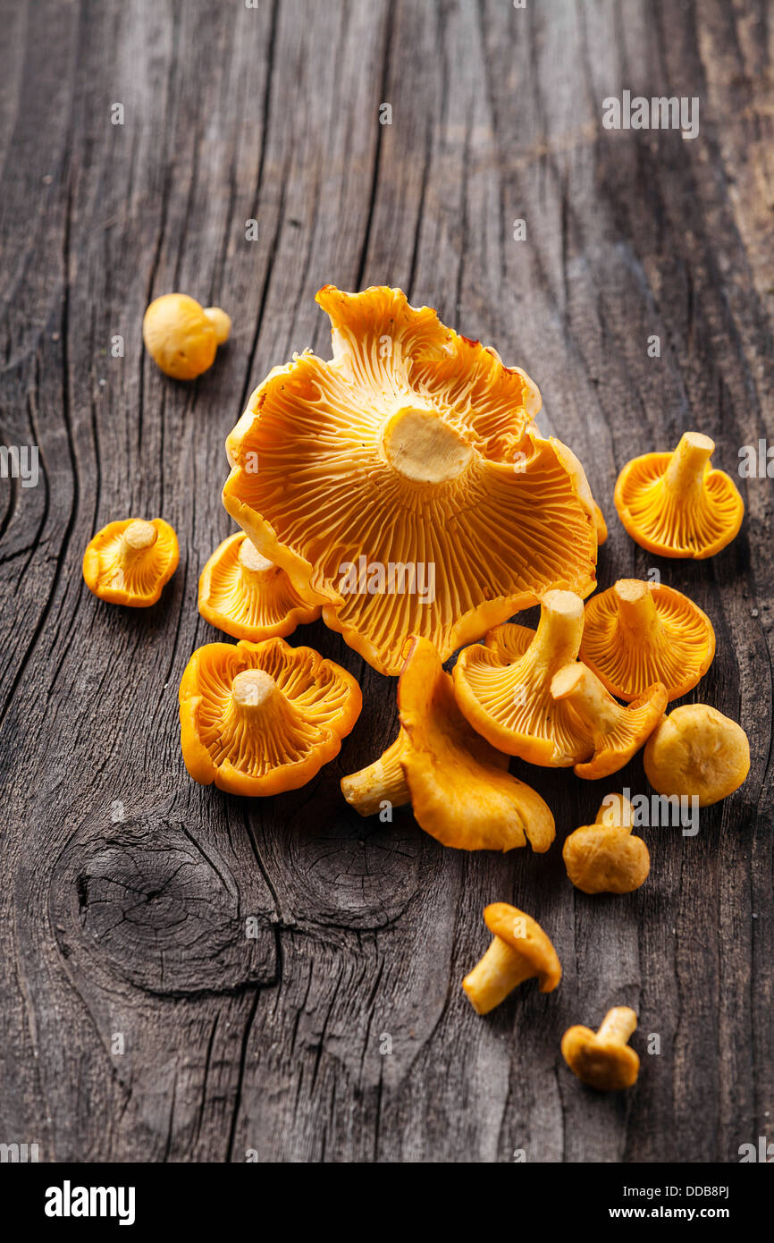 Raw chanterelles on wooden texture Stock Photo