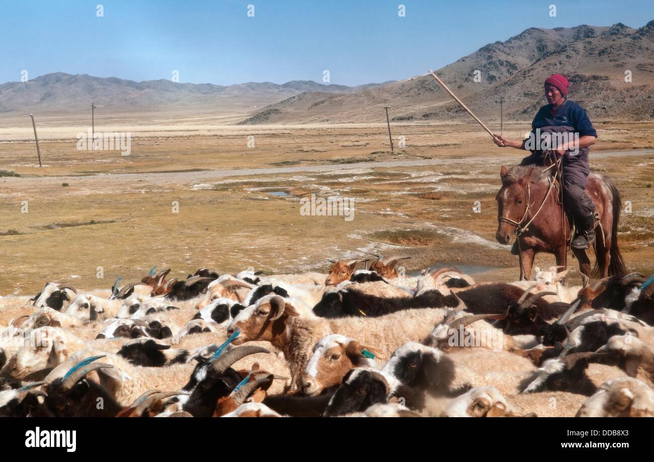 Herder in gobi desert hi-res stock photography and images - Alamy