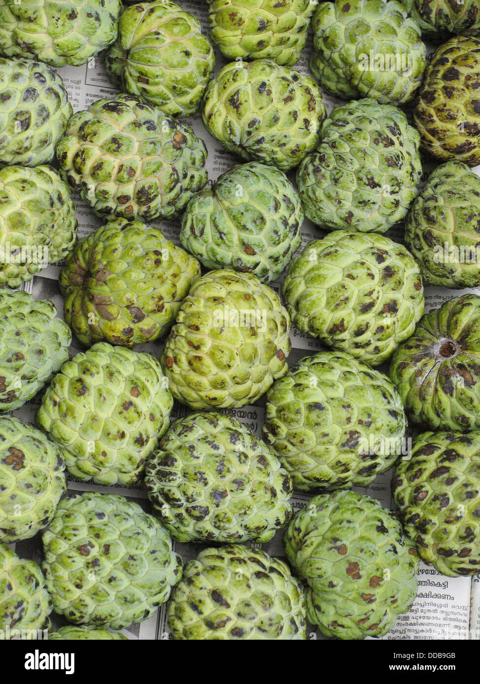 Anon Fruta