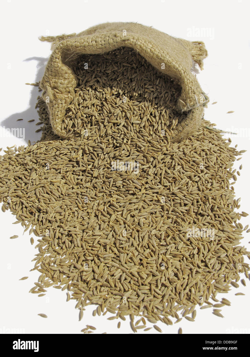 Cumin is the fruits of Cuminium cyminum which is native to the eastern Mediterranean and Central